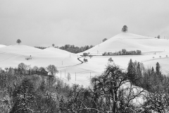 01-Januar-2023-–-Maria-Wyss-–-Hirzel-Wintermaerchen